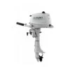 Moteur Hors-bord 4T SUZUKI 6 CV Arbre Court Blanc - SUZUKI